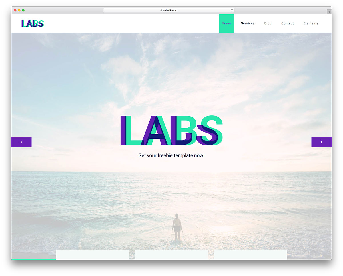 Labs templates
