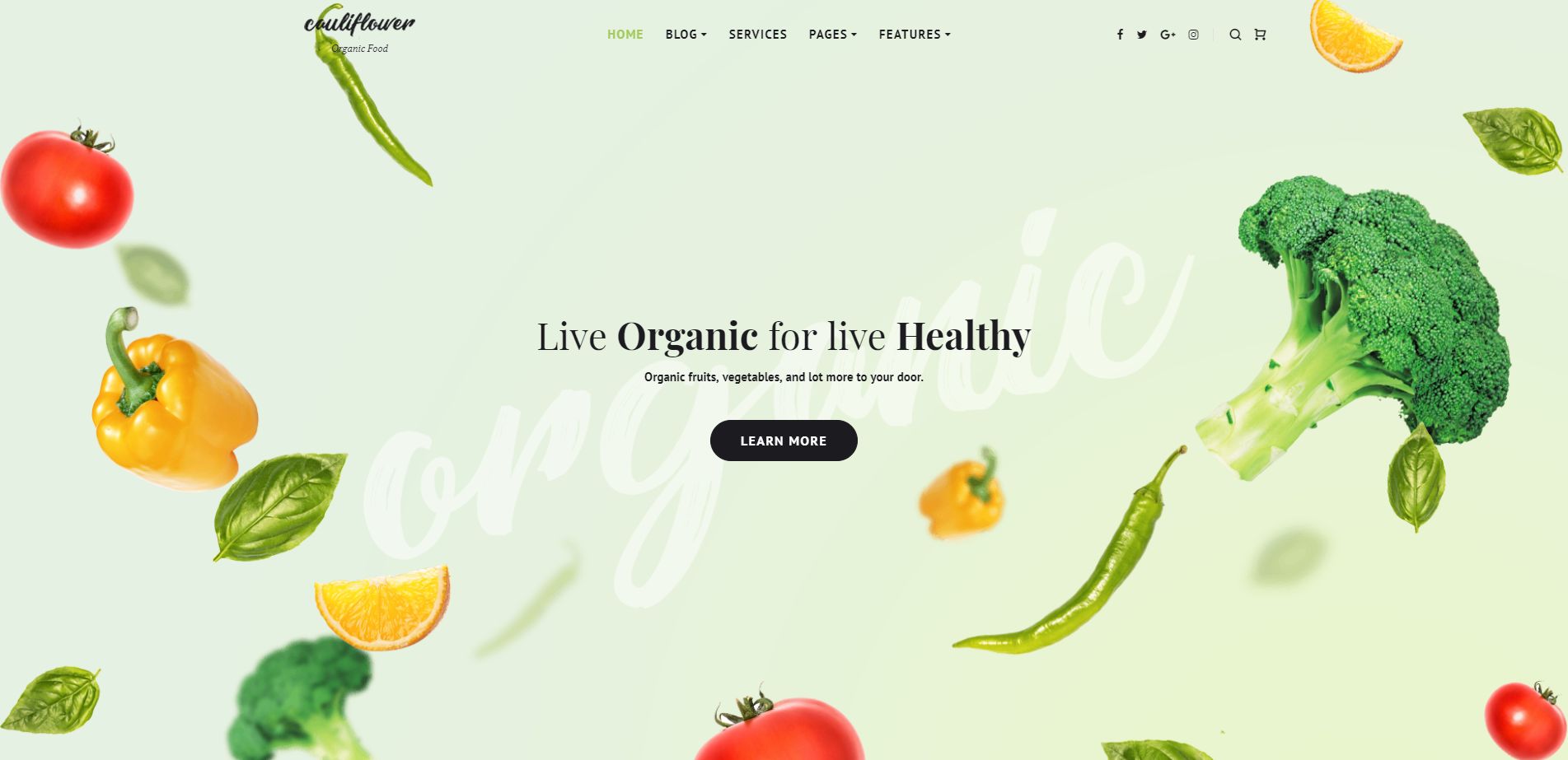 13 Best Organic Food WordPress Themes
