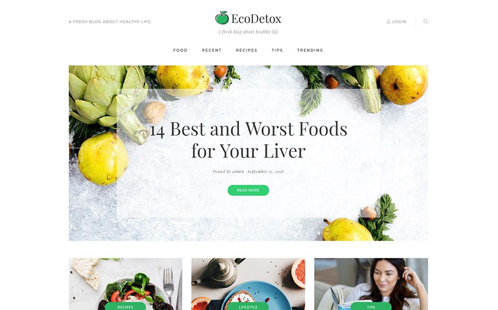 EcoDetox - Healthy Food Blog Elementor WordPress Theme