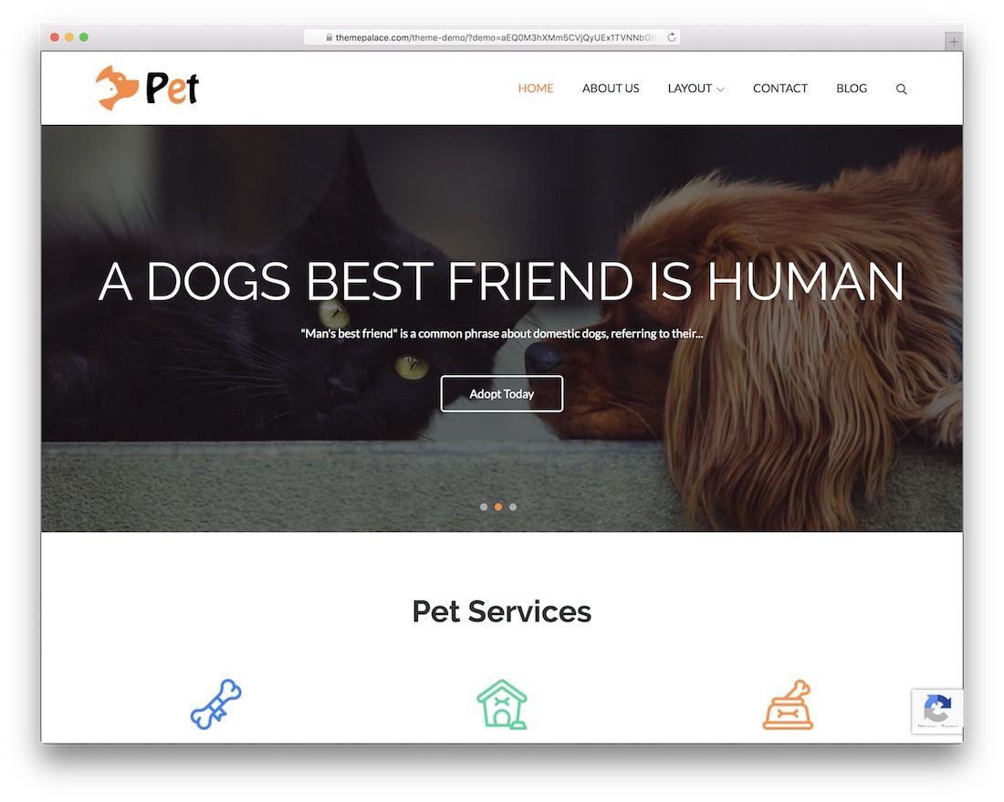 pet free wordpress business theme