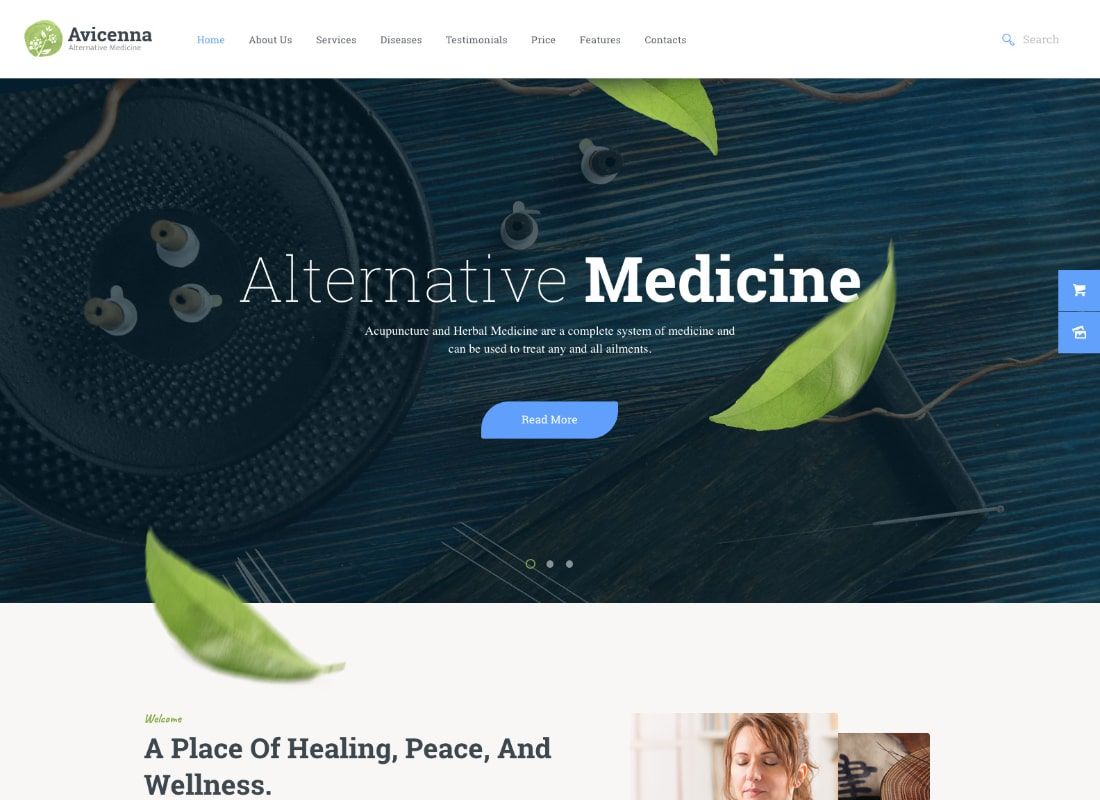 Avicenna | Alternative Folk Medicine Doctor WordPress Theme
