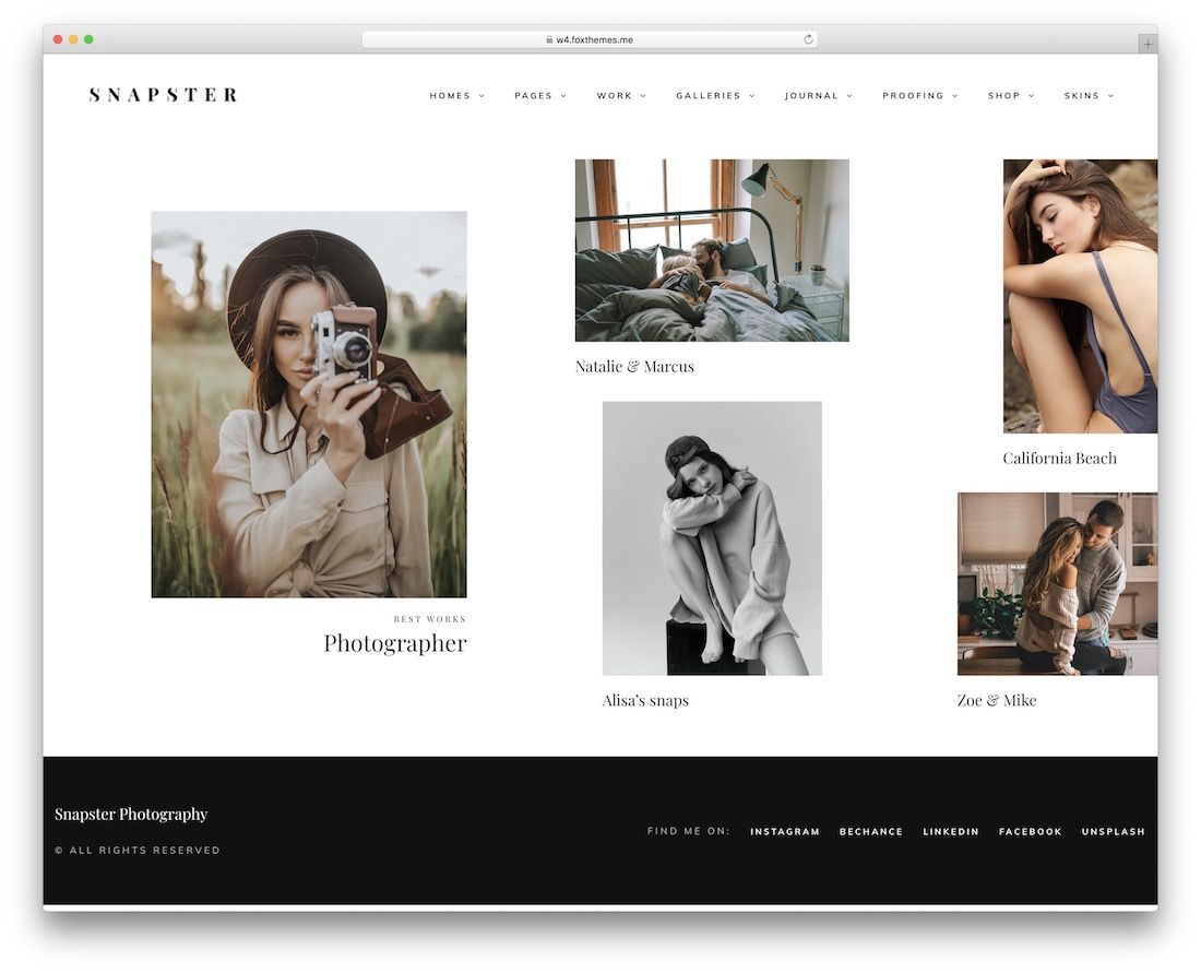 snapster professional wordpress theme