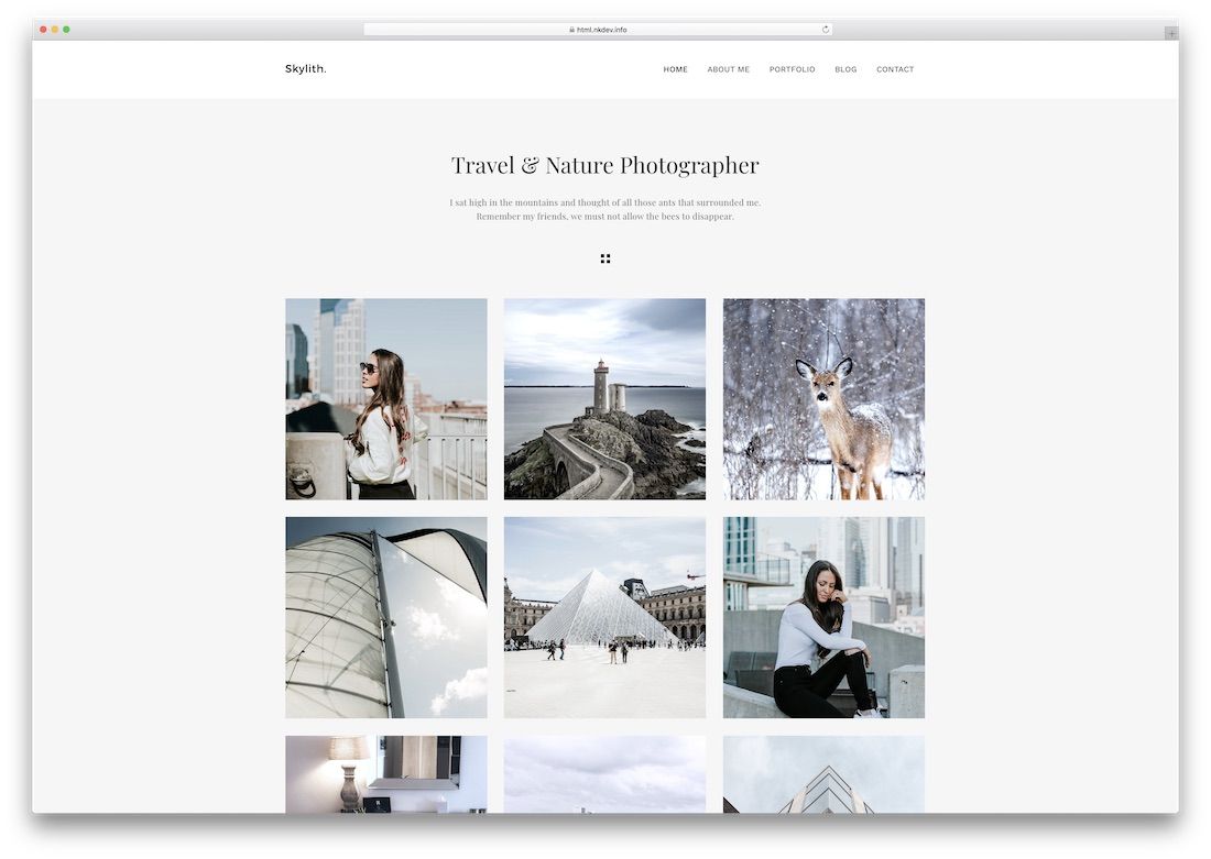 skylith photography website template
