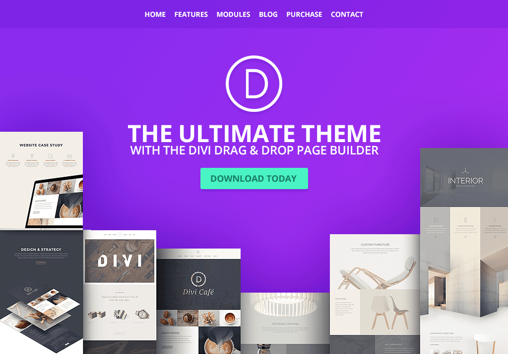 divi-popular-multipurpose-theme