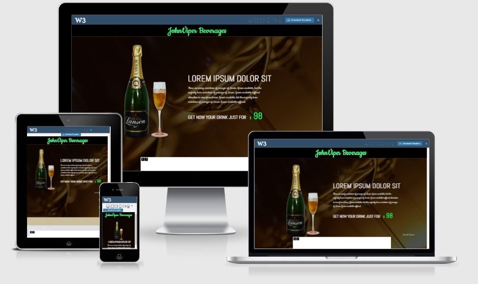 John Viper Beverage - A Bootstrap based free restaurant template